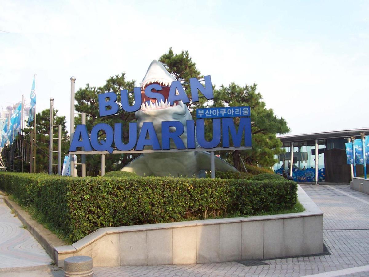 Haeundae Luxury House Busan Exterior foto